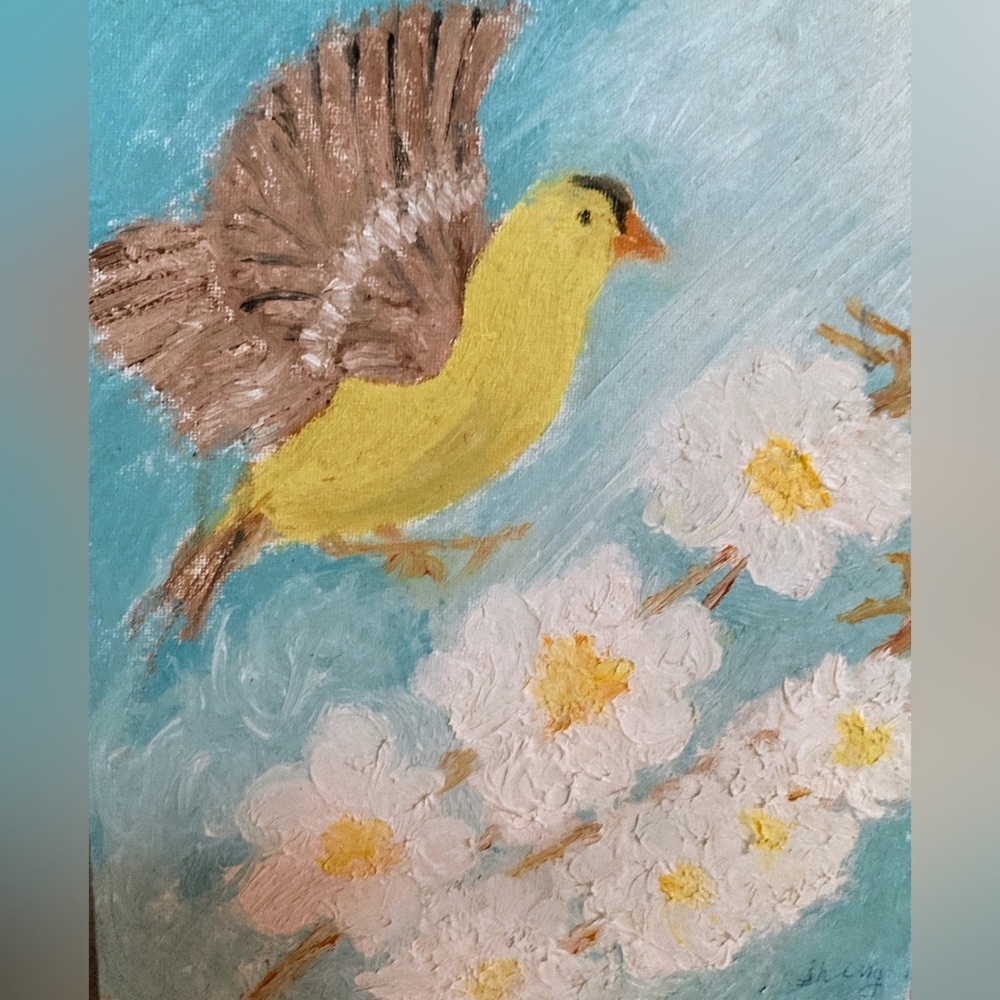 Yellow finch coming in for a landing